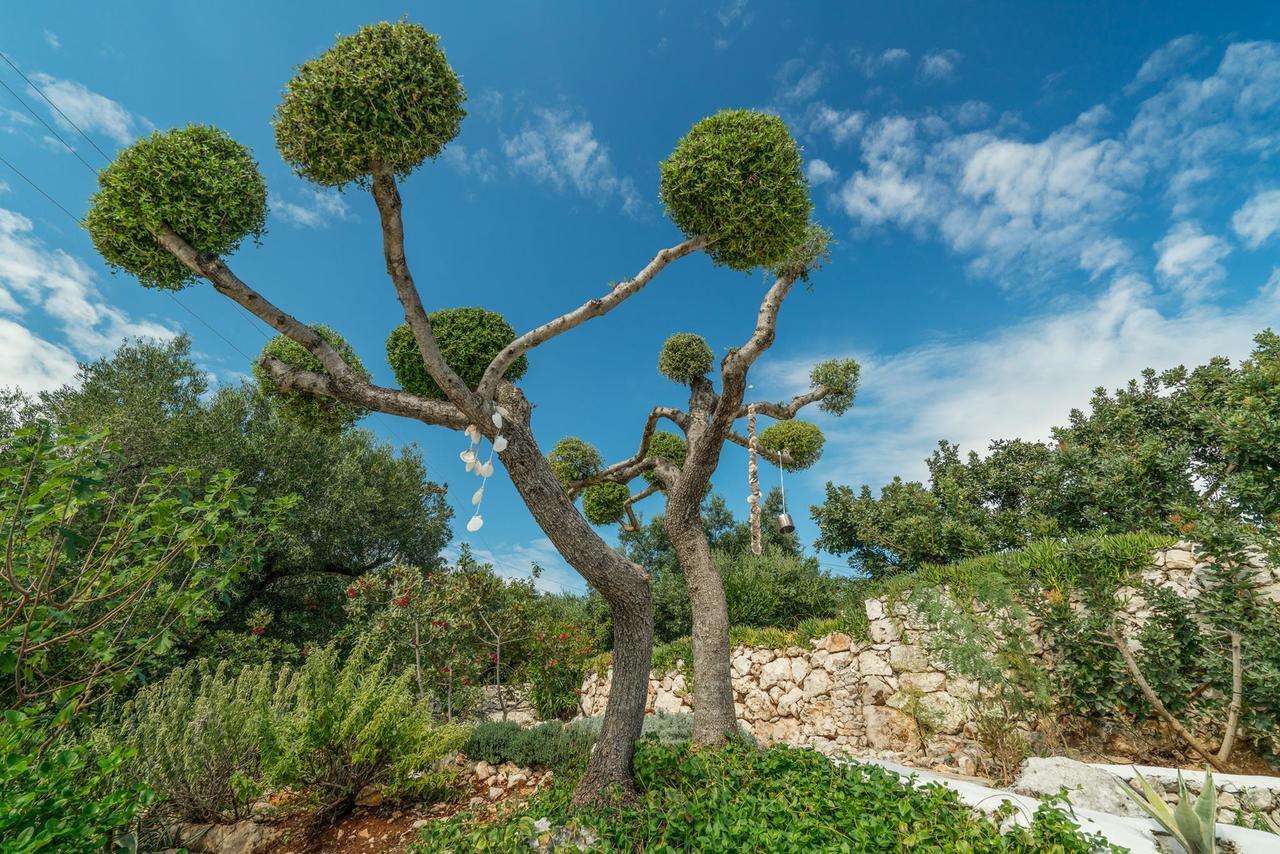 Askos Stone Villa - The Island Panorama Agios Nikolaos  Ngoại thất bức ảnh